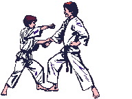 judo-0008.gif from 123gifs.eu Download & Greeting Card