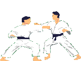 judo-0011.gif from 123gifs.eu Download & Greeting Card
