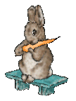 hase-0229.gif from 123gifs.eu Download & Greeting Card